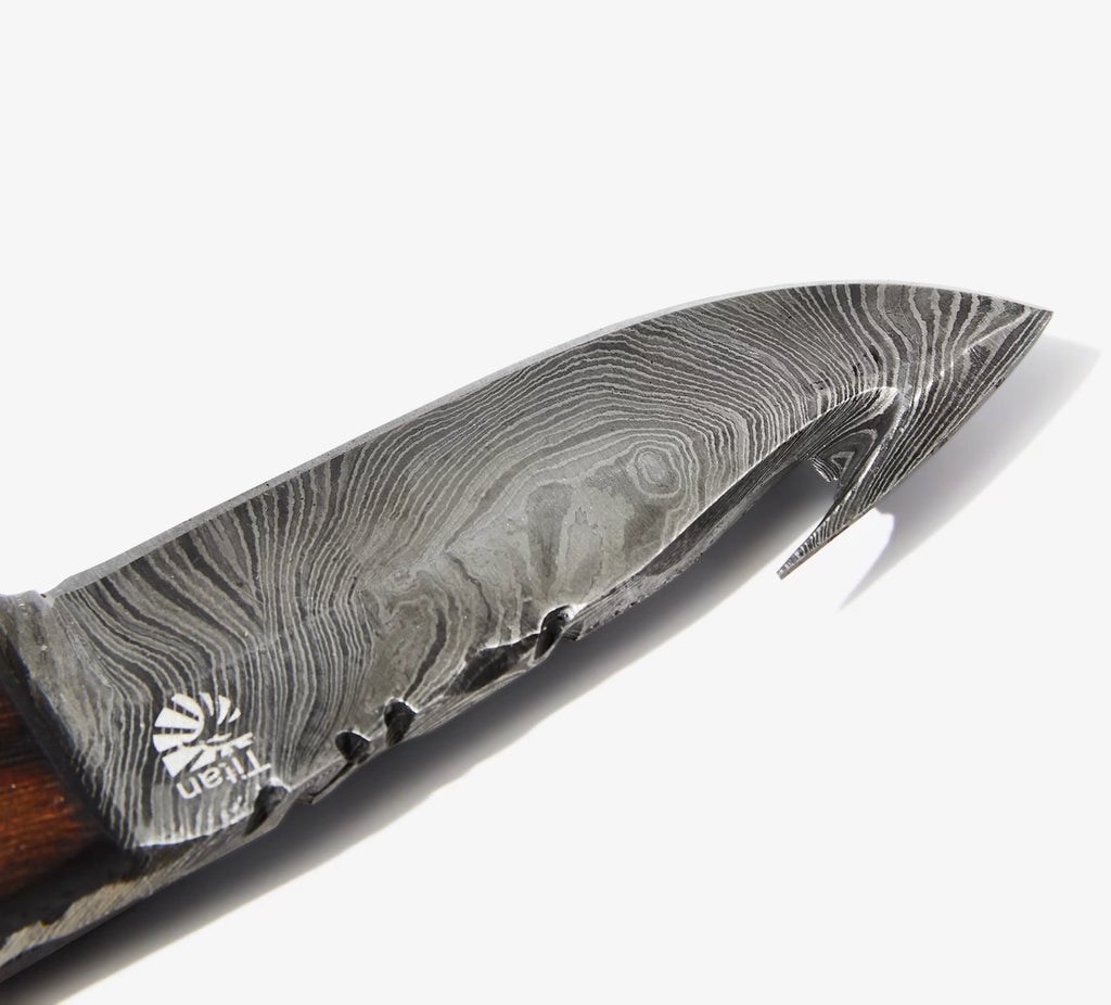 Damascus Skinning Gut Hook, Hunting Knife By Titan TD-176